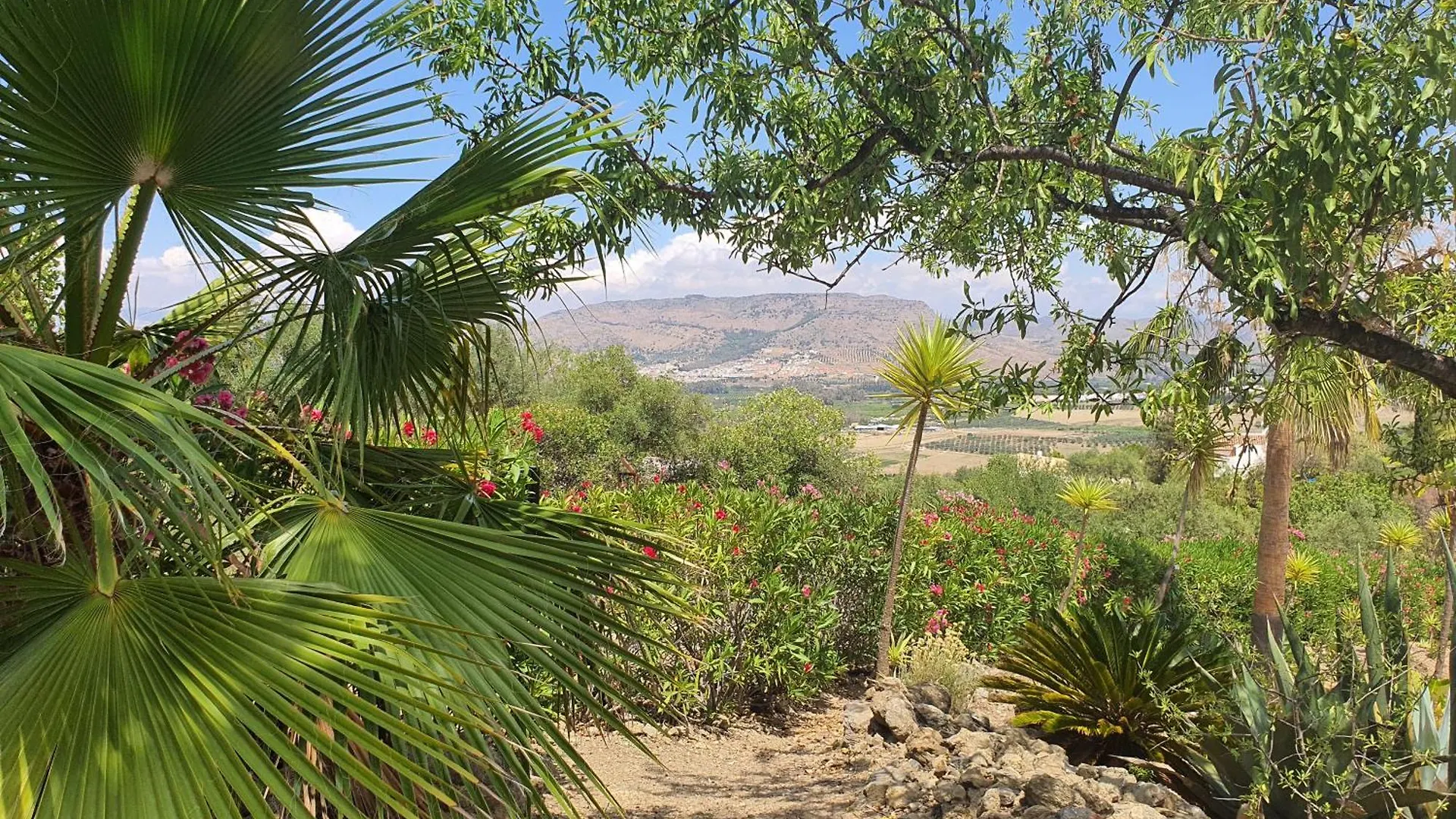 Finca Flamenco Holiday Suites Adults Only Pizarra 0*,  Espagne